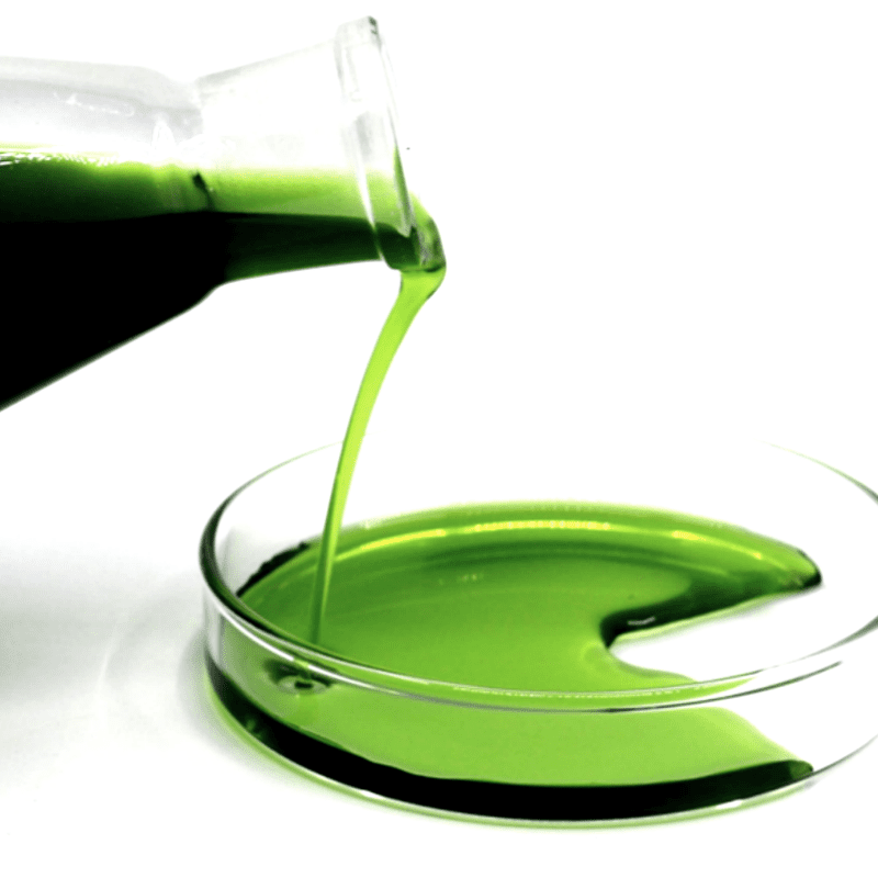 Seaweed Extract (alga) Liquid - Image 2