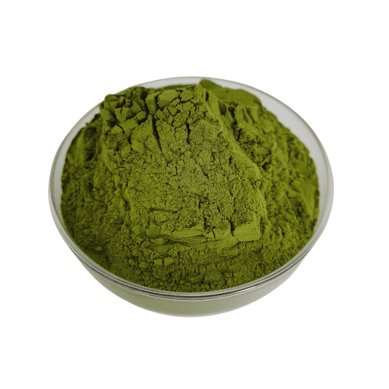 Green Seaweed Extract - Image 4
